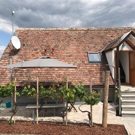 Weinkellerurlaub Roeschitz Roggendorf Exterior foto